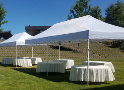 R 1744332874 Premium 10x20 Tent White