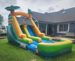 13.5' Tropical Waterslide